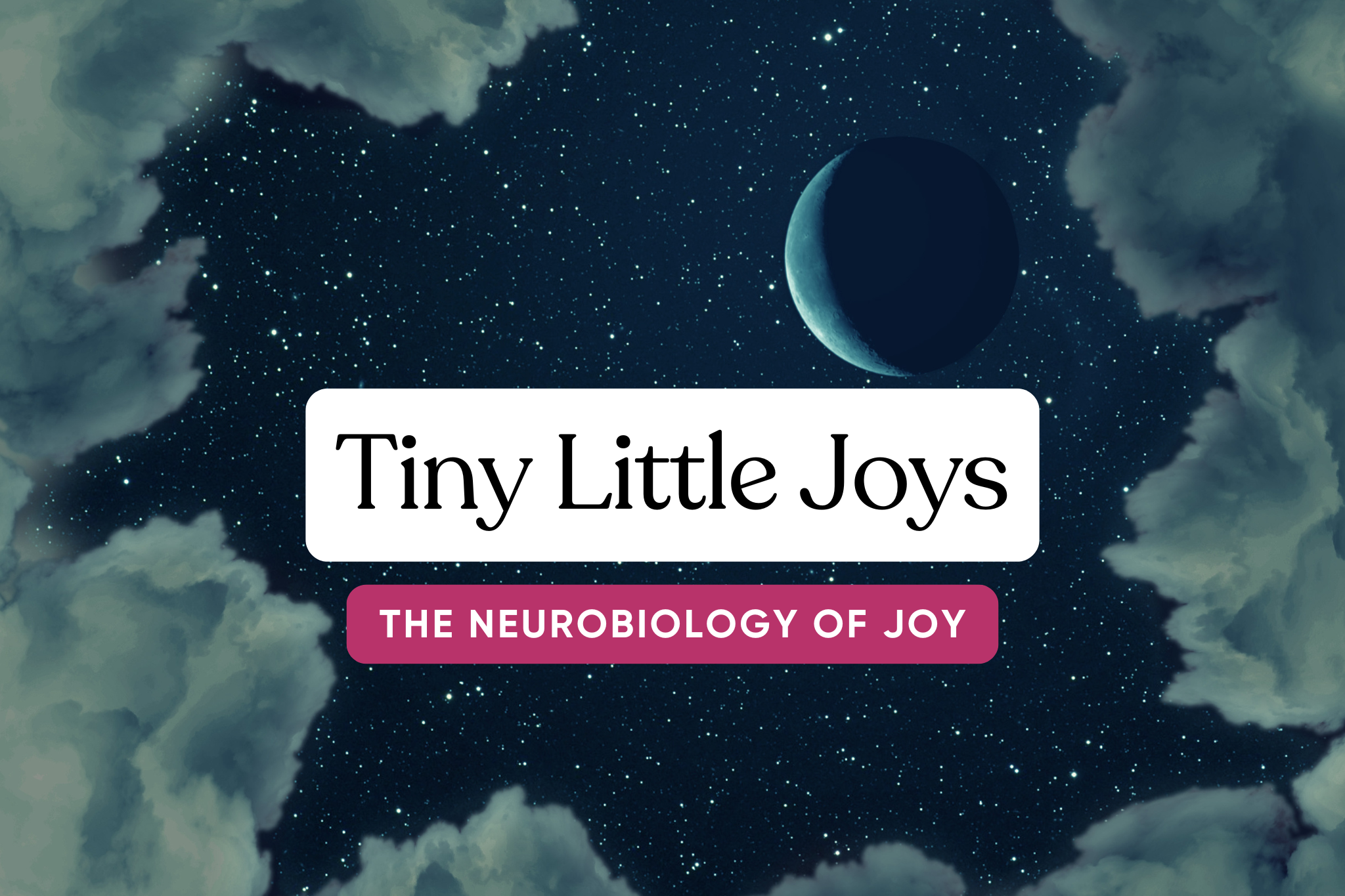 Course title graphic with a starry night background and the text ‘Tiny Little Joys: The Neurobiology of Joy’